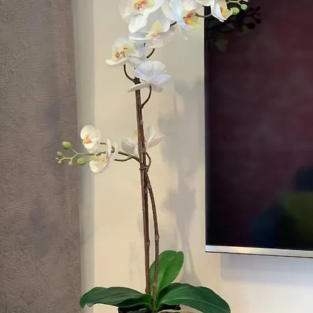 Mona Lisa Apartman *